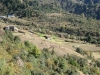 Low altitude green areas