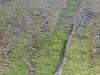 Yorkshire 3 Pk Sun 6th May12 (61)