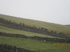 York3pk-5th-May13-48